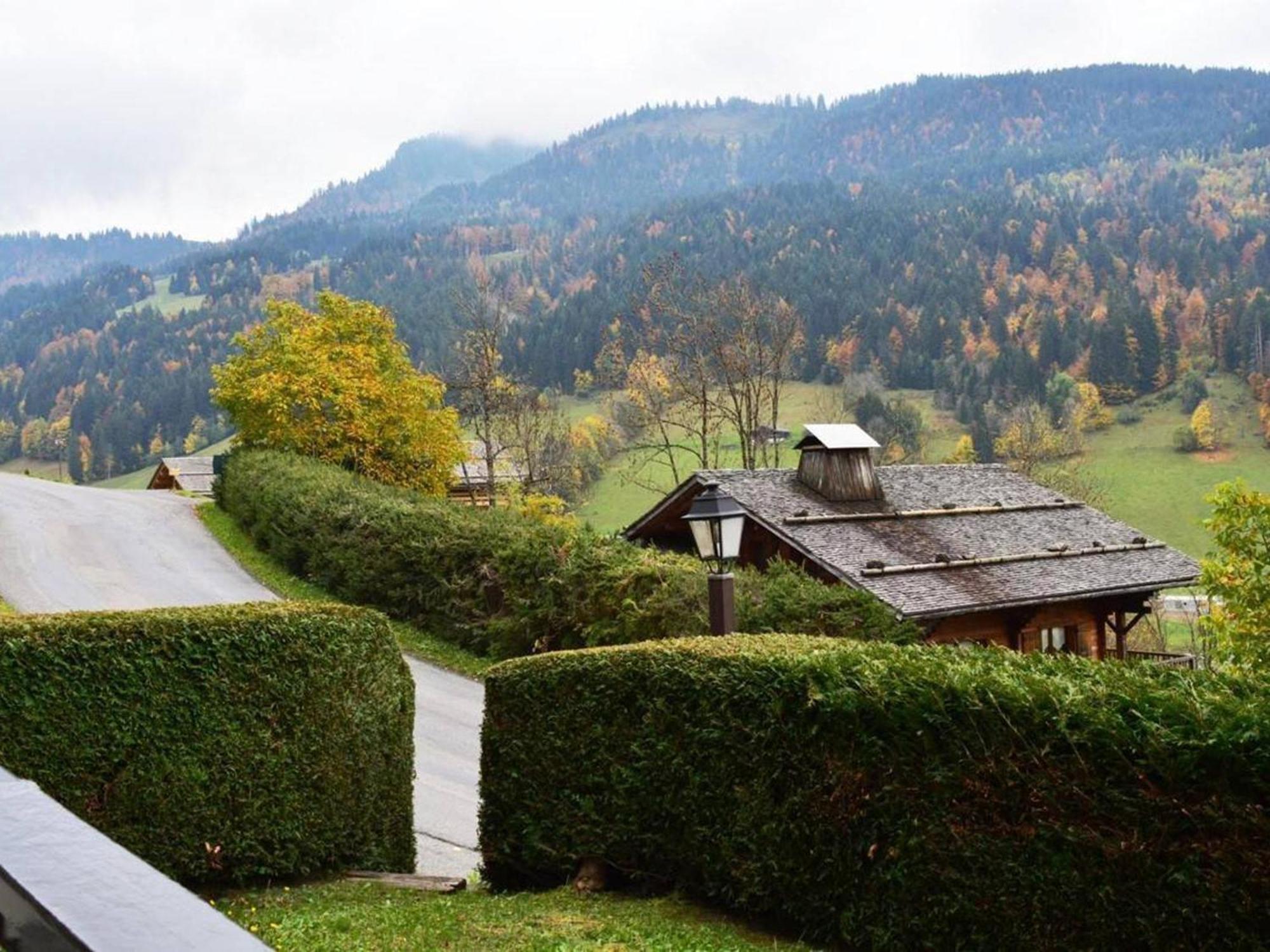 Studio En Rez-De-Jardin Pour 4 Avec Parking Couvert, A 500M De La Telecabine - Le Grand-Bornand - Fr-1-241-80 Eksteriør billede
